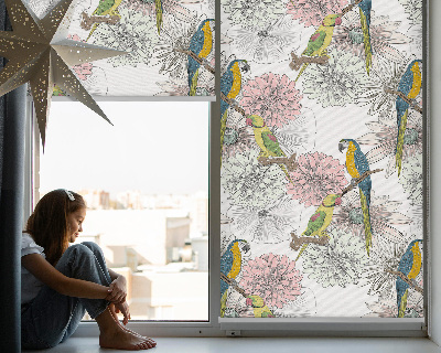 Blind for window Parrots on a branch