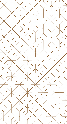 Roller blind Brown pattern