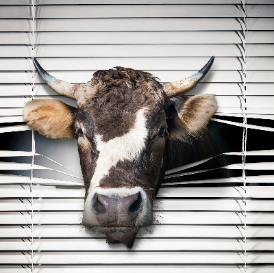 Daylight roller blind Cow