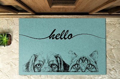 Front door doormat Hello Dog and Cat