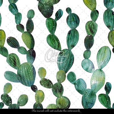 Wallpaper Cacti Cobweb