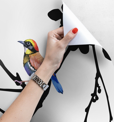 Wallpaper Ornithologist's Dream