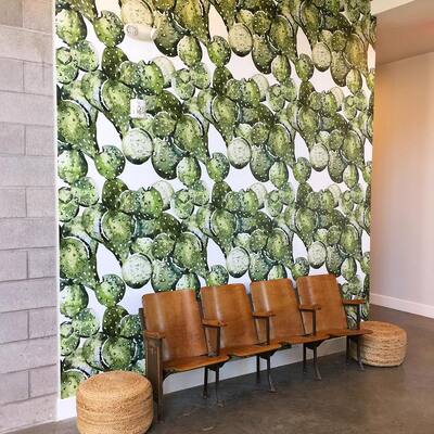 Wallpaper Painted Cactus