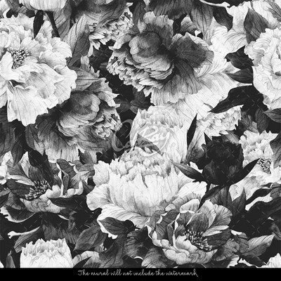 Wallpaper Grey Peony