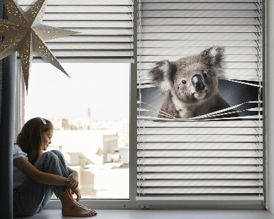 Roller blind for window Koala