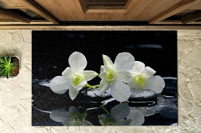 Outdoor door mat Orchids