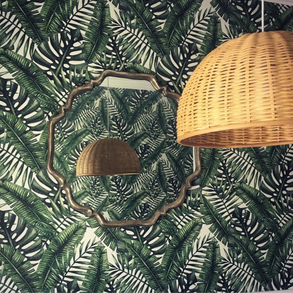 Monstera wallpapers