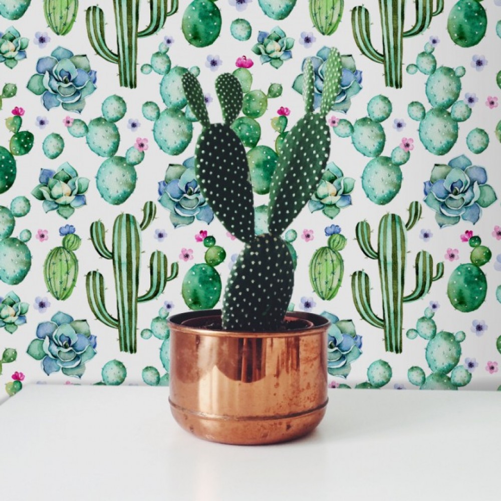 Cacti succulent wallpaper